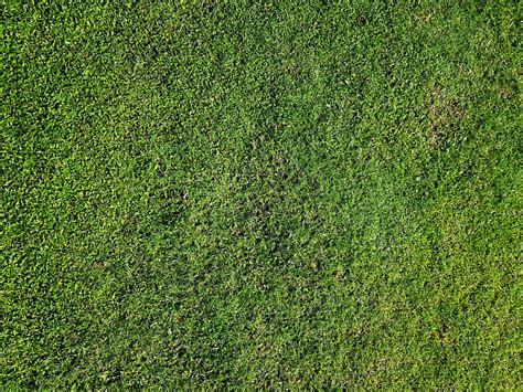 Download Grass Field Trimmed To Roots Background