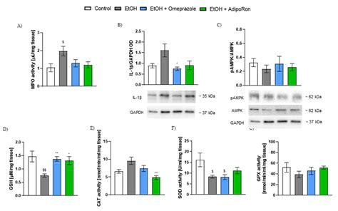 Effect Of AdipoRon On Inflammatory Markers And Anti Oxidant Mechanisms