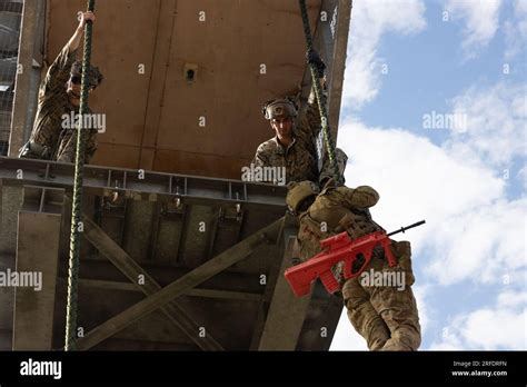 Soldado Del Ej Rcito Australiano Con El Batall N El Real Regimiento