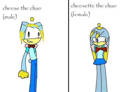 Cheese The Chao Boy And Girl By Fannerthehedgehog On Deviantart