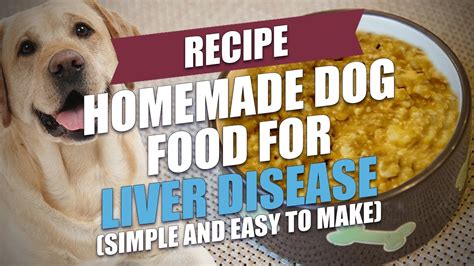 What Foods Raise Liver Enzymes In Dogs | Deporecipe.co