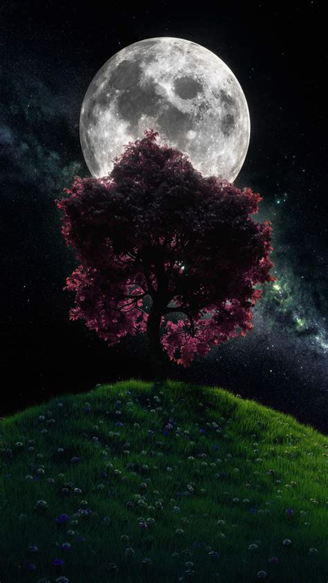 Moon Tree iPhone Wallpaper - iPhone Wallpapers