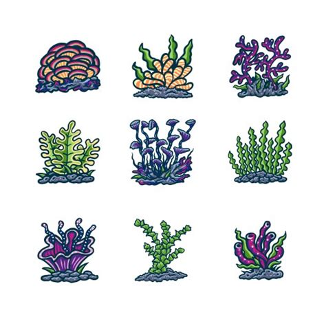 Sea Plants And Aquarium Seaweed Set Royalty Free Vector