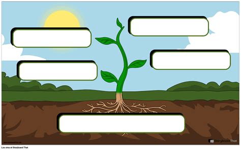 Roheliste Lehtede Ankurdiagramm Storyboard Par Et Examples