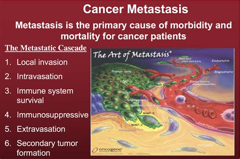 CrossFit | Is Cancer a Genetic or Metabolic Disease? Part 4