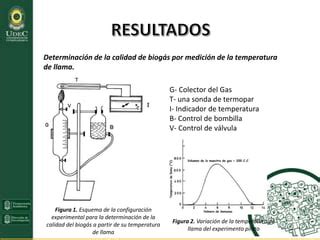 Evaluaci N Del Potencial Energ Tico Del Biog S Aproximaci N Al Estado