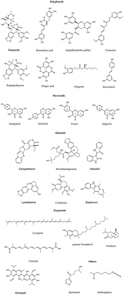 Frontiers Lead Phytochemicals For Anticancer Drug Development