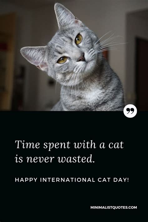 Time spent with a cat is never wasted. Happy International Cat Day!