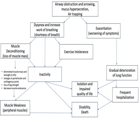 Consequences Of Airway Obstruction In Chronic Obstructive Pulmonary