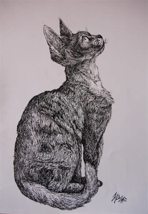 Devon Rex By Misiasart On Deviantart