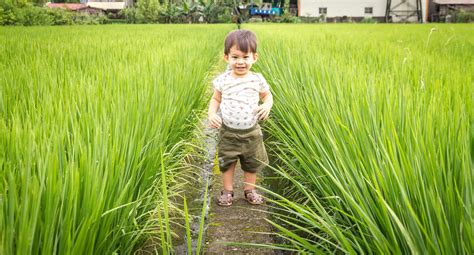 50+ Fun Things to Do in Yilan, Taiwan (2024 Updated!) - Spiritual Travels