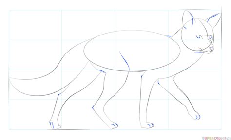 Comment Dessiner Un Renard Roux Tuto Dessin Etape Par Etape