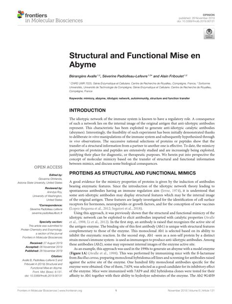 Pdf Structural And Functional Mise En Abyme