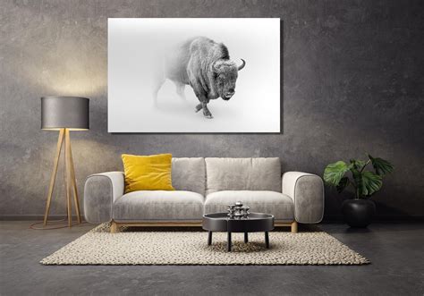 Buffalo Canvas Wall Art Black Buffalo In Snow Original Pictures Art