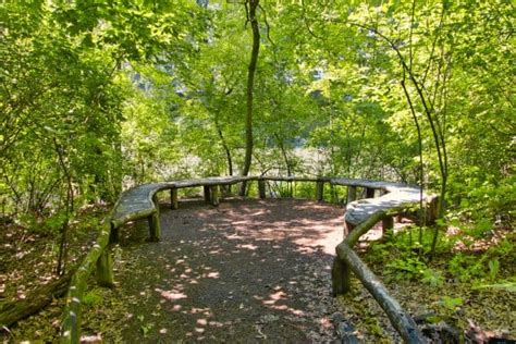 The Hallett Nature Sanctuary of Central Park NYC | Map, Entrance, Hours