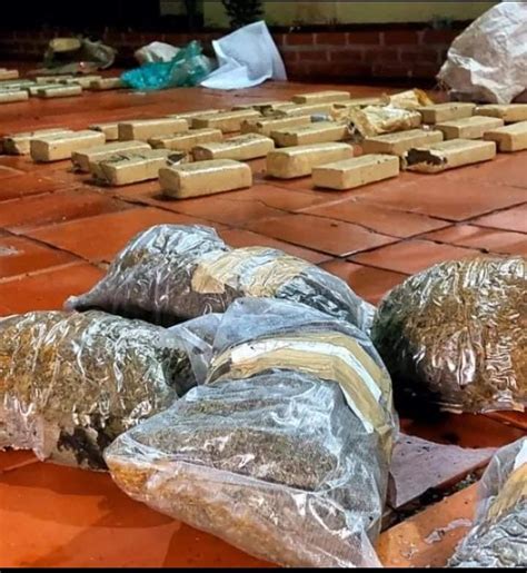 En El 2022 La Policía Concretó La Mayor Cantidad De Decomisos De Drogas