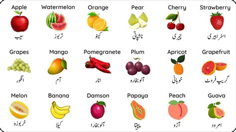 All Fruits Name In English And Urdu