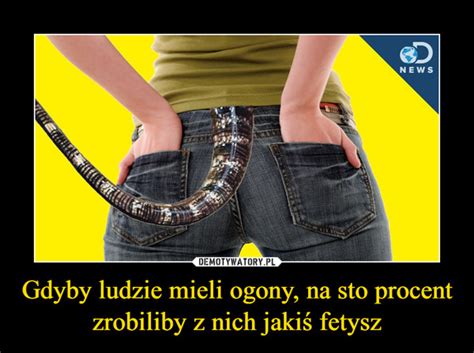 Gdyby Ludzie Mieli Ogony Na Sto Procent Zrobiliby Z Nich Jaki Fetysz