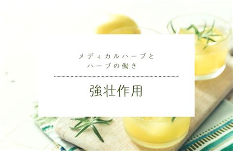 強壮作用とは？｜体を活性化させ元気になる【メディカルハーブの働きと効果・効能】 Fenne