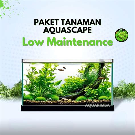 Jual Paket Tanaman Aquascape Pemula Tumbuhan Air Hidup Hiasan