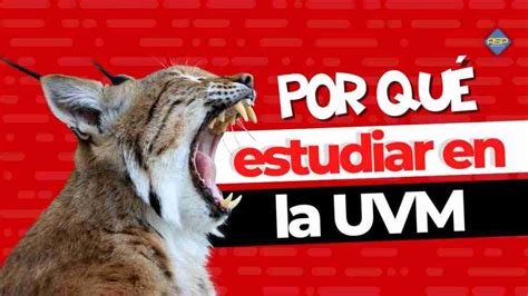 Uvm Razones Por Las Que Debes Estudiar Aqu