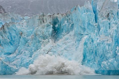 300+ Dawes Glacier Alaska Stock Photos, Pictures & Royalty-Free Images - iStock