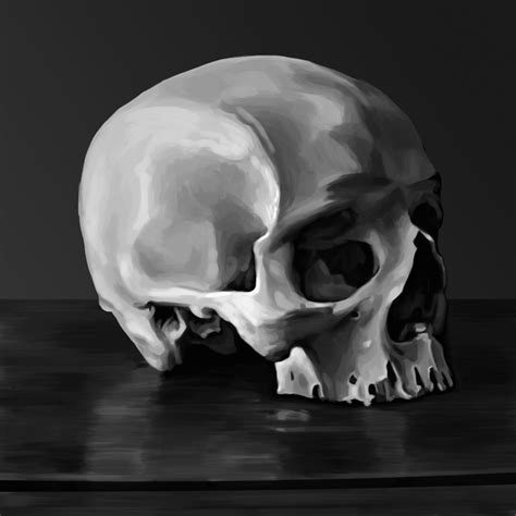 Pin By Derald Hallem On Skull Art Still Life Photography Life