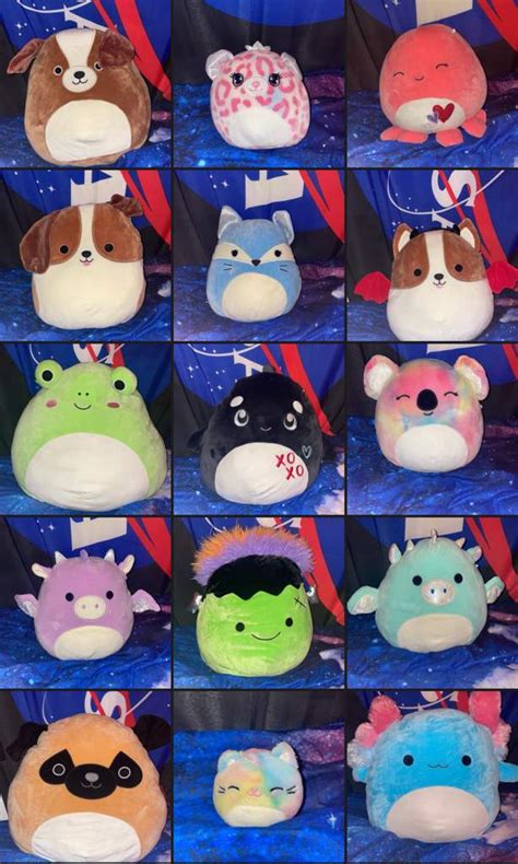 Squishmallows Squishmallow Lovers Amino