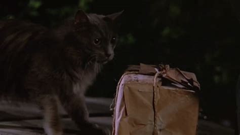 Madhouse (1990) - Cinema Cats