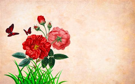 Free Images Flower Background Border Garden Frame Vintage Card