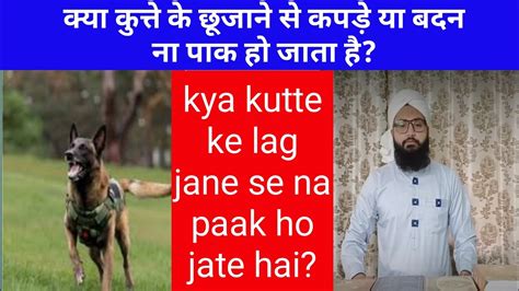 Kutta Agr Badan Ya Kapde Par Lag Jaye To Kya Ham Napak Ho Jayenge