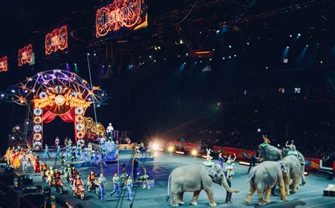 India Bans Use of All Animals in Circuses After Year-Long Investigation