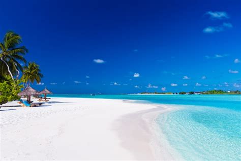 Plages de Tahiti découvrez les 5 plus belles plages de l île