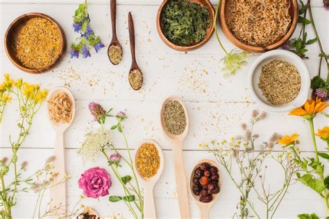 Pourquoi Opter Pour Une Formation En Naturopathie