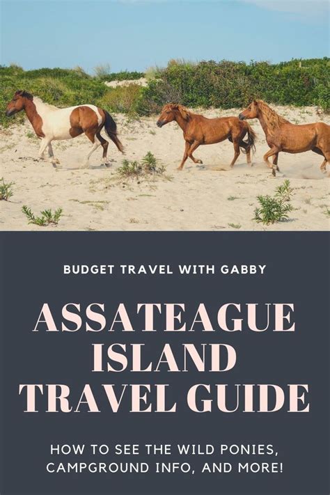 The Ultimate Guide To Assateague Island Camping Artofit