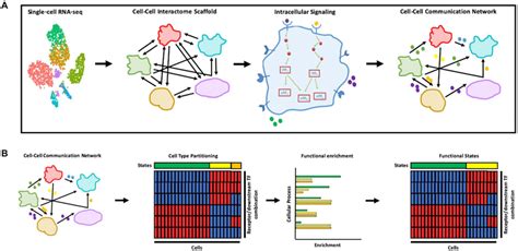 Method Overview A Based On Single Cell Rna Seq Data Of A Tissue