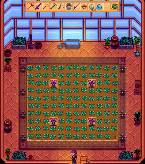 sprinkler greenhouse setup | Stardew valley, Stardew valley layout ...