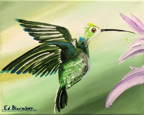 Purple Hummingbird Drawing