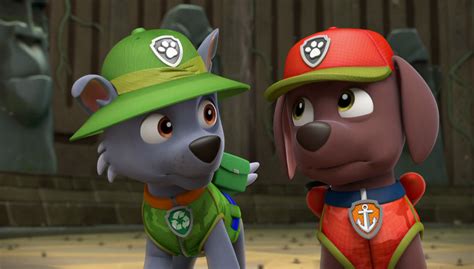 Zuma In Season Paw Patrol Photo Fanpop Page