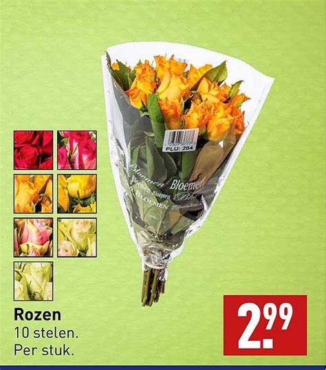 Rozen Aanbieding Bij Aldi Folders Nl