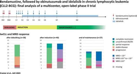 Bendamustine Followed By Obinutuzumab And Idelalisib In Chronic