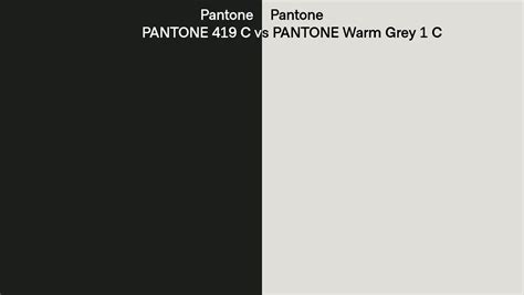 Pantone 419 C Vs Pantone Warm Grey 1 C Side By Side Comparison