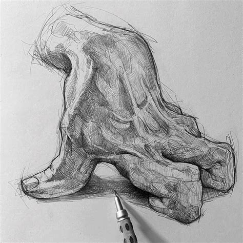 Drawing Anatomy Art Official On Instagram Hand Drawings By Maloart