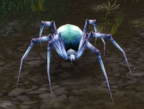 Pygmy Venom Web Spider | WoWWiki | Fandom