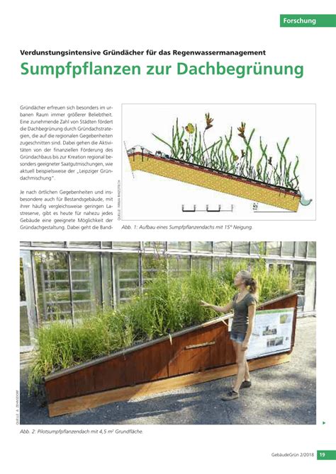 Pdf Verdunstungsintensive Gründächer Für Das Regenwassermanagement