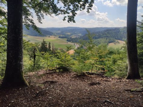 Wanderung im Schwäbisch Fränkischen Wald Schwäbischer Albverein