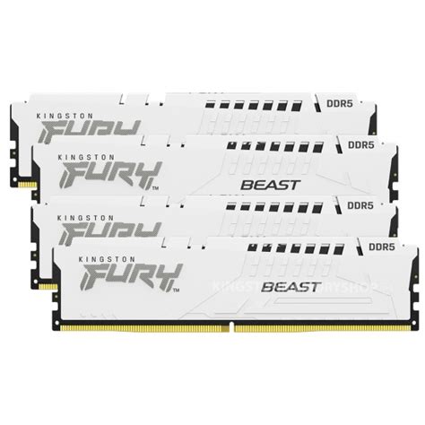 Kingston FURY Beast KF556C40BWK4 64 64GB 16GB X4 DDR5 5600MT S White