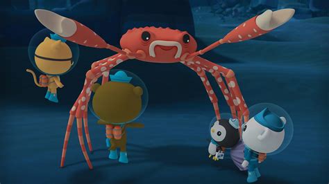 Bbc Iplayer Octonauts Series The Giant Spider Crab