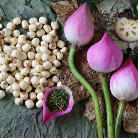 Top 10 Bí Quyết Giúp Chữa động Thai Phòng Sẩy Thai Giúp An Thai Hiệu