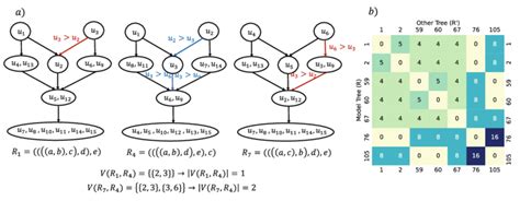 Conflicting Inequality Penalty Terms Between Rooted 5 Taxon Species